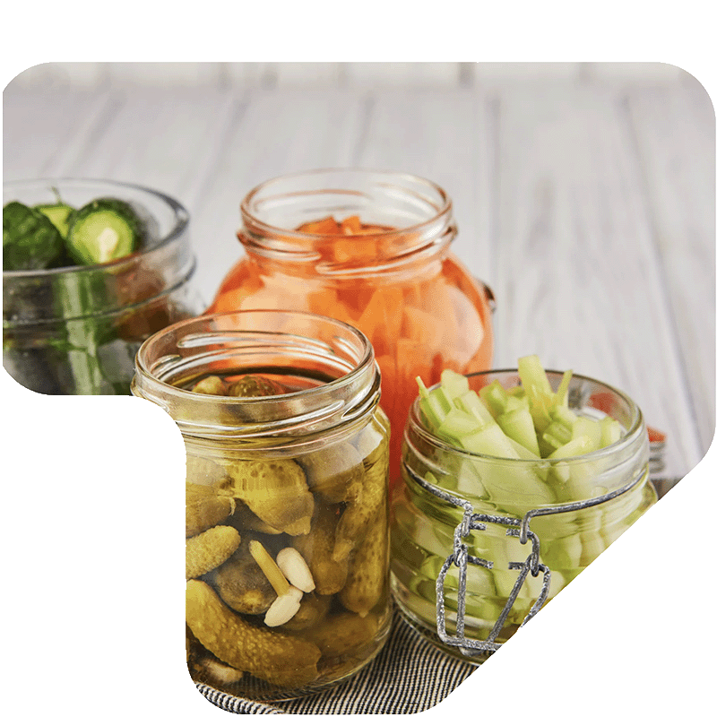 FERMENTS
